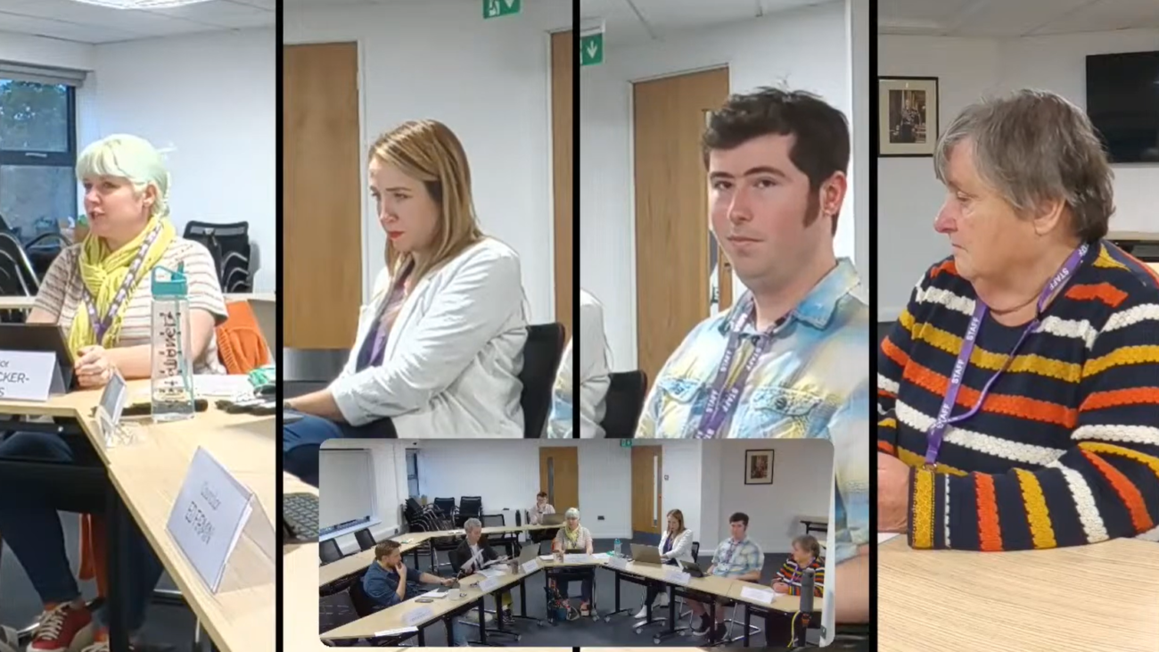 Taunton  Council Virtual Meetingeeting
